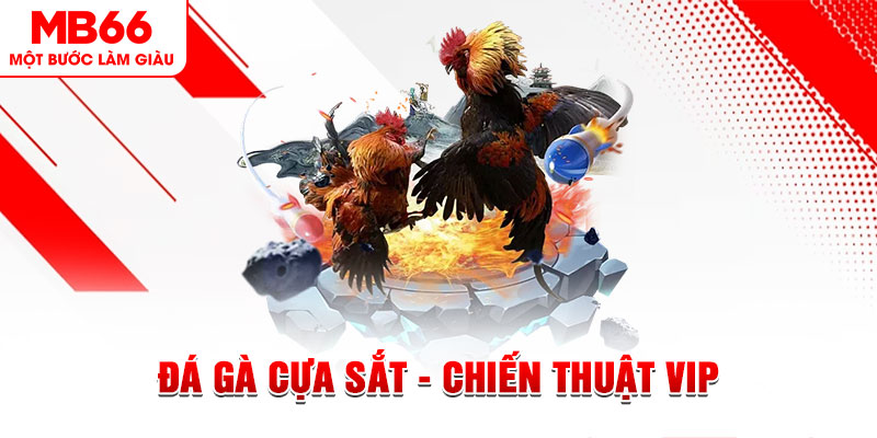 svv388 sòng bạc ĐĂNG KÝ